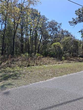 0.46 Acres of Residential Land for Sale in Weeki Wachee, Florida