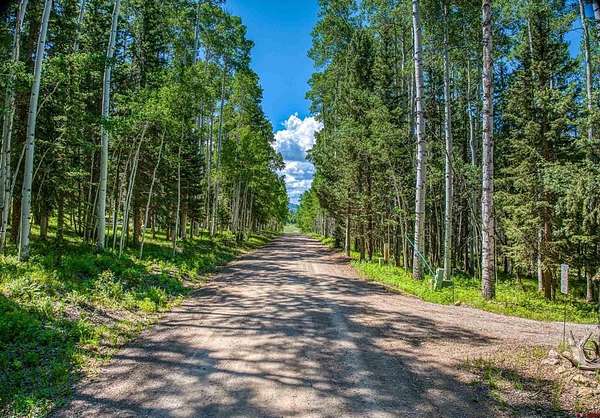 0.72 Acres of Land for Sale in Cimarron, Colorado