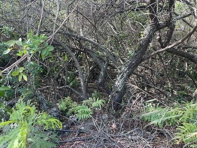 0.46 Acres of Residential Land for Sale in Nāʻālehu, Hawaii