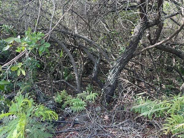 0.46 Acres of Residential Land for Sale in Nāʻālehu, Hawaii