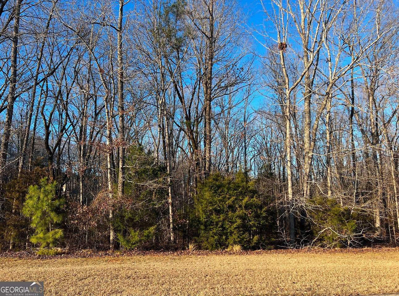 1.4 Acres of Land for Sale in Forsyth, Georgia