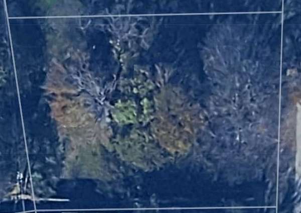 0.22 Acres of Residential Land for Sale in Gun Barrel City, Texas