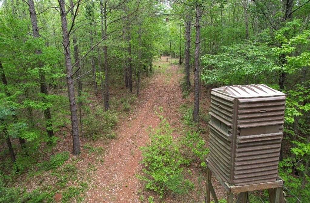 110 Acres of Recreational Land for Sale in San Augustine, Texas