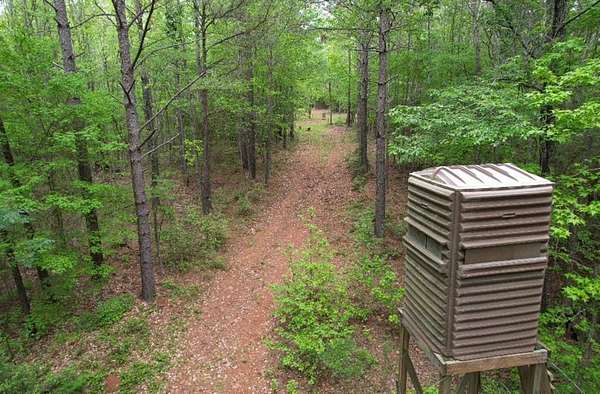110 Acres of Recreational Land for Sale in San Augustine, Texas