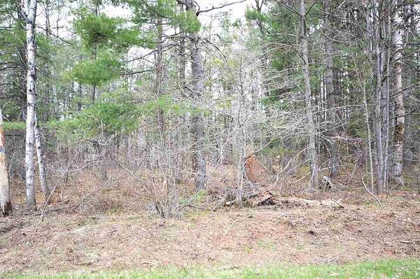 0.5 Acres of Residential Land for Sale in Elmira, Michigan