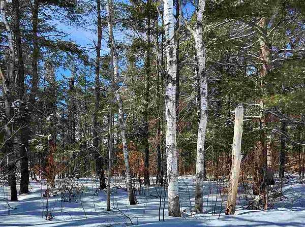 0.47 Acres of Residential Land for Sale in Mancelona, Michigan