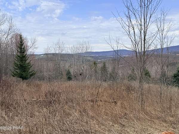 10 Acres of Recreational & Residential Land for Sale in Clifford Township, Pennsylvania