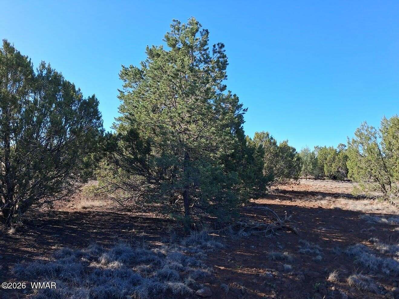 1 Acre of Residential Land for Sale in Show Low, Arizona