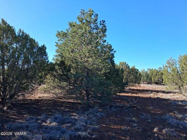 1 Acre of Residential Land for Sale in Show Low, Arizona