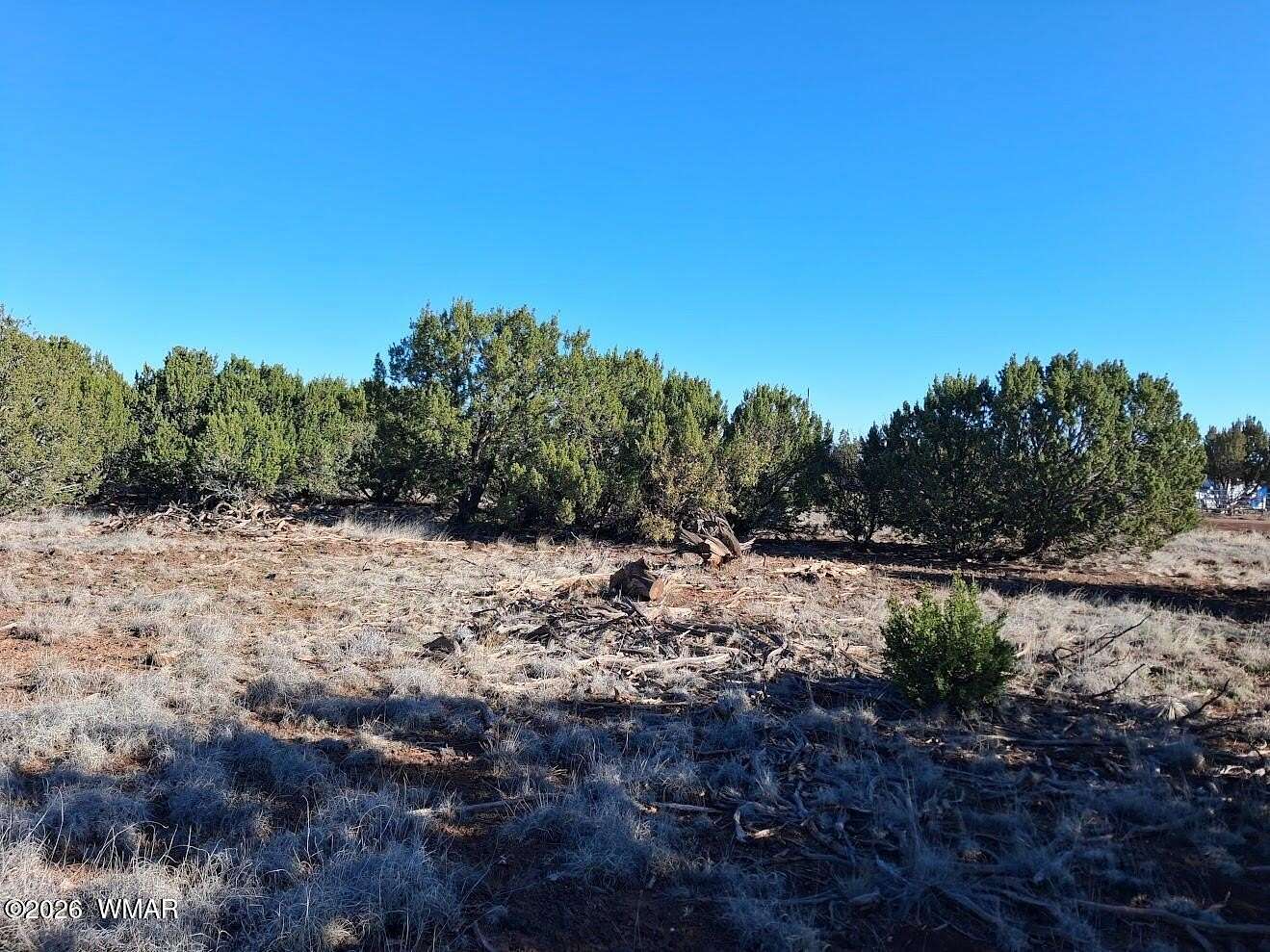 1 Acre of Residential Land for Sale in Show Low, Arizona