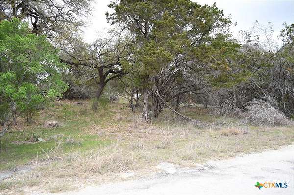 0.23 Acres of Land for Sale in Spring Branch, Texas