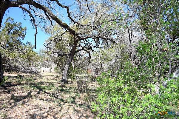 0.23 Acres of Land for Sale in Spring Branch, Texas