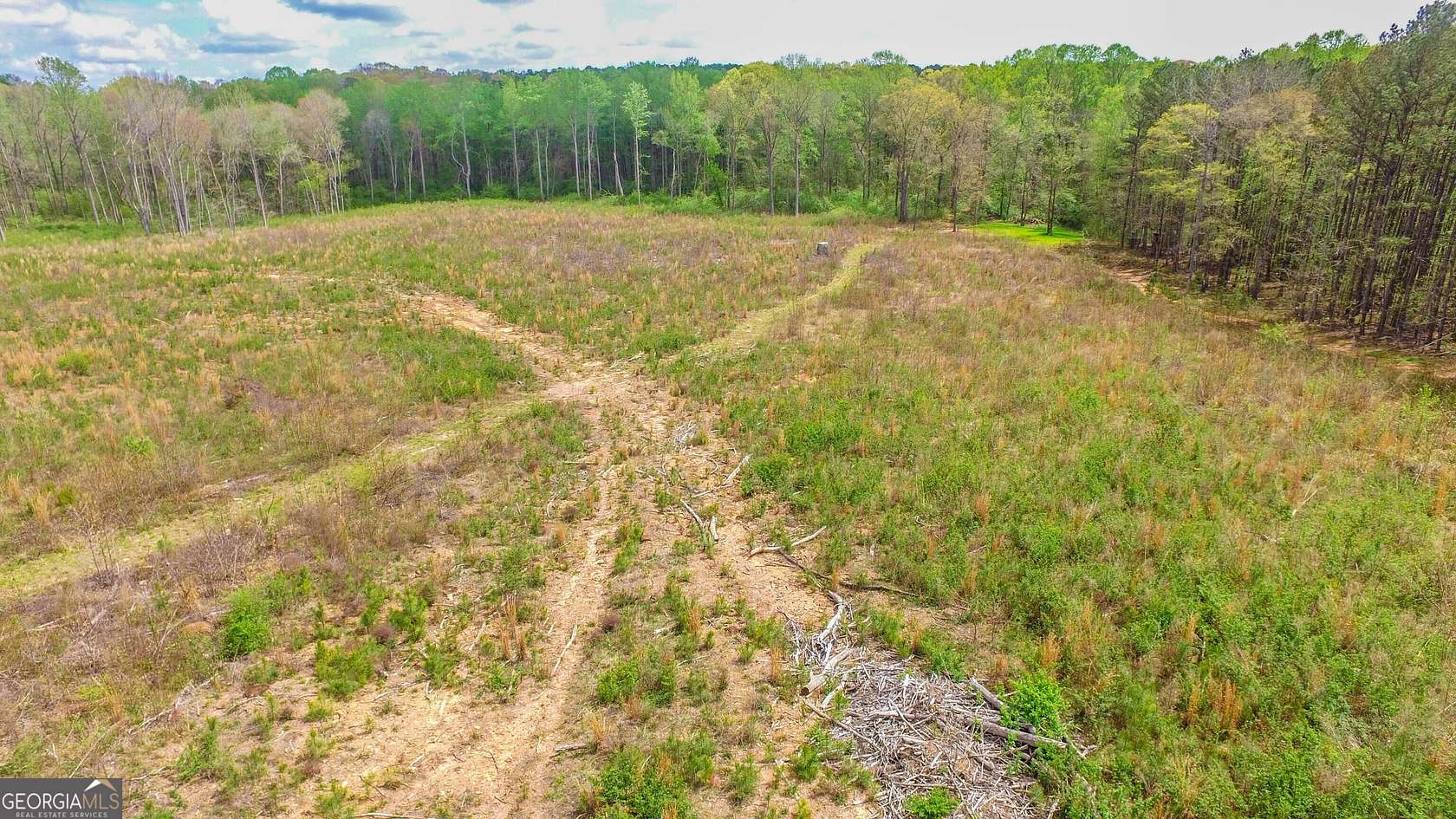 25 Acres of Land for Sale in Senoia, Georgia