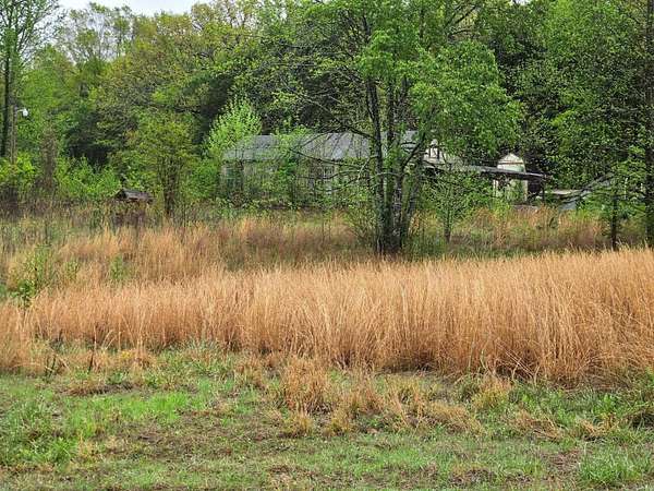 1 Acre of Land for Sale in Greenbrier, Arkansas