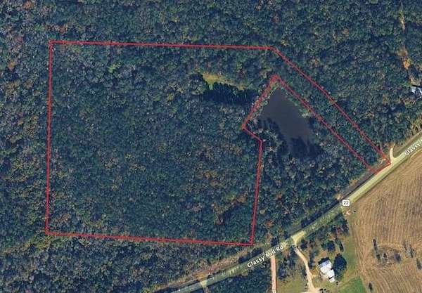30 Acres of Recreational & Residential Land for Sale in Auburn, Alabama