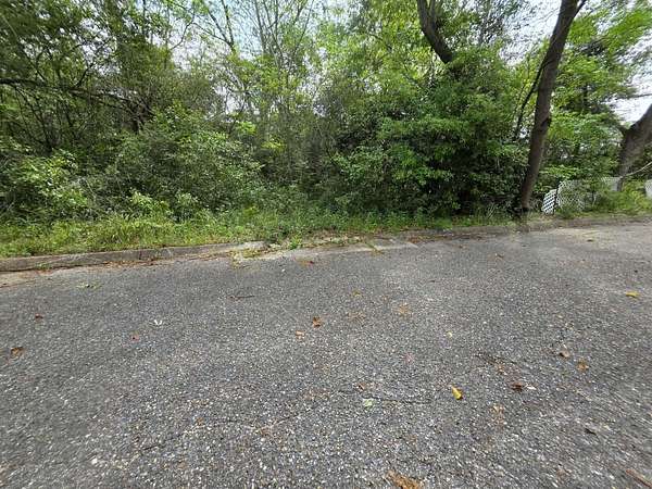 0.13 Acres of Residential Land for Sale in Florala, Alabama
