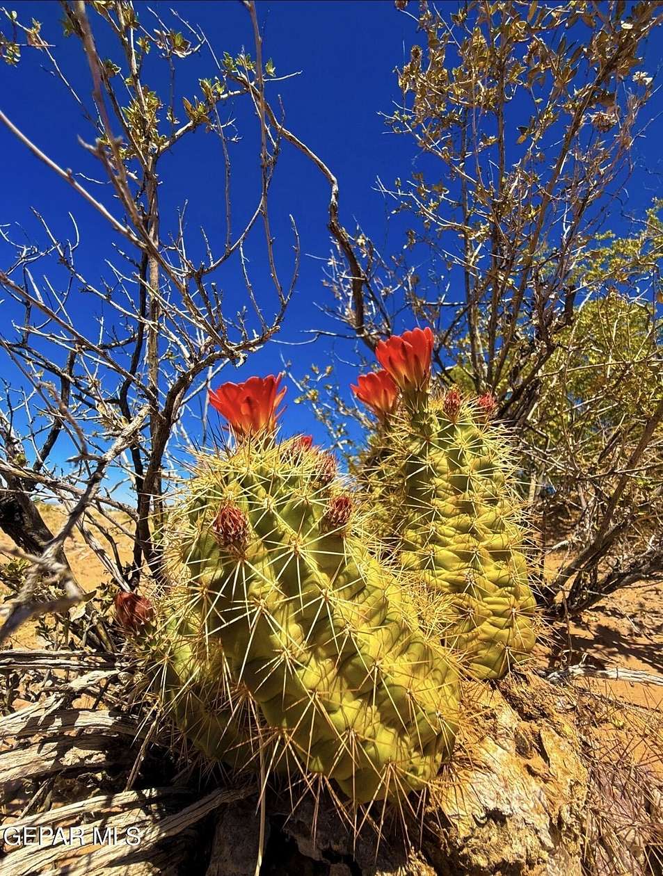 4 Acres of Residential Land for Sale in El Paso, Texas