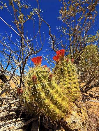 4 Acres of Residential Land for Sale in El Paso, Texas