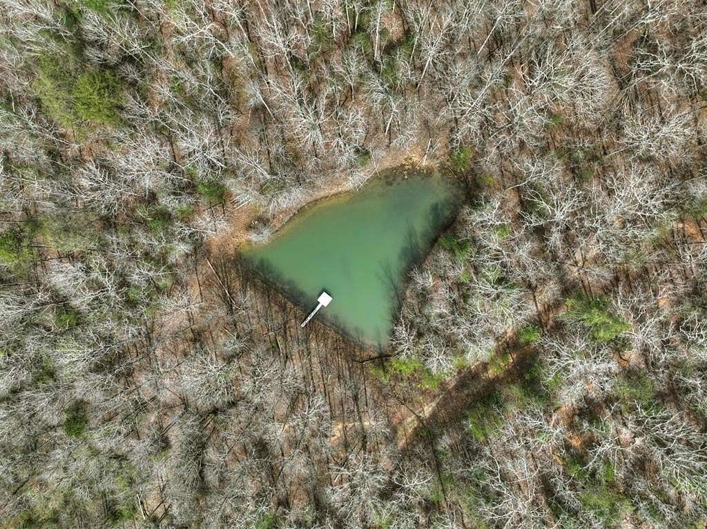 8.52 Acres of Residential Land for Sale in Morganton, Georgia