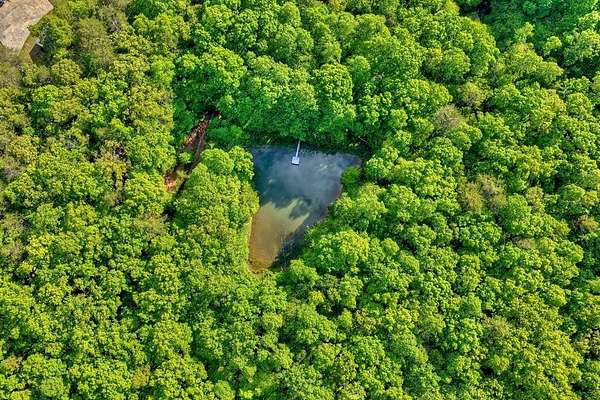 8.52 Acres of Residential Land for Sale in Morganton, Georgia