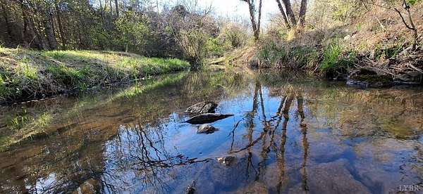 39.5 Acres of Land for Sale in Appomattox, Virginia