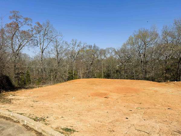 0.38 Acres of Residential Land for Sale in Palestine, Texas