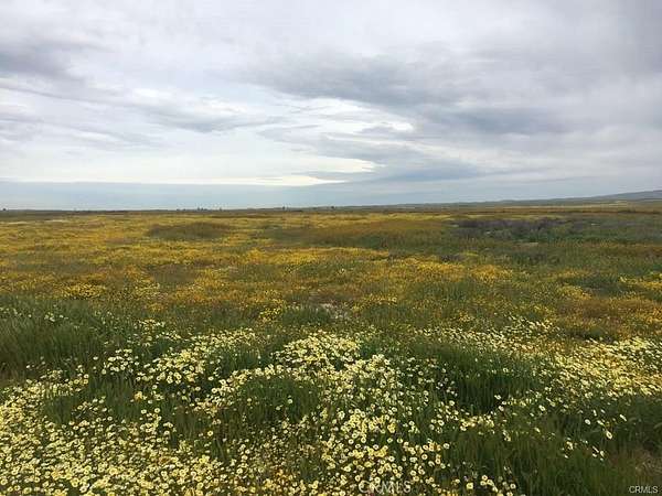 2.5 Acres of Land for Sale in California Valley, California