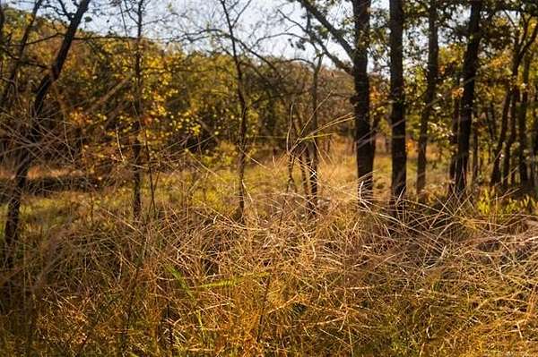 80 Acres of Land for Sale in Winchester, Oklahoma