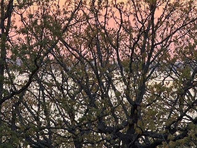0.57 Acres of Residential Land for Sale in Skiatook, Oklahoma