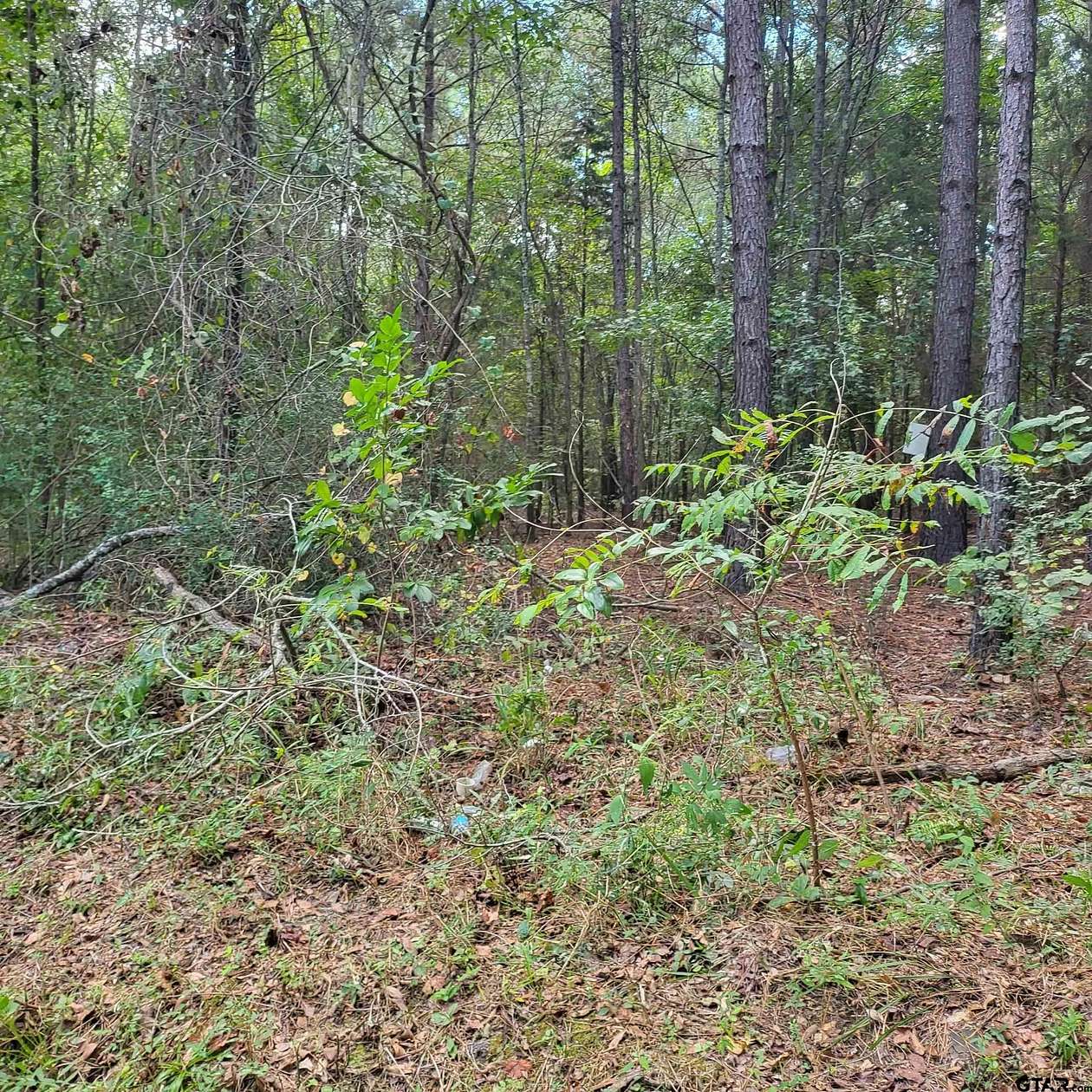 19.7 Acres of Land for Sale in Tyler, Texas
