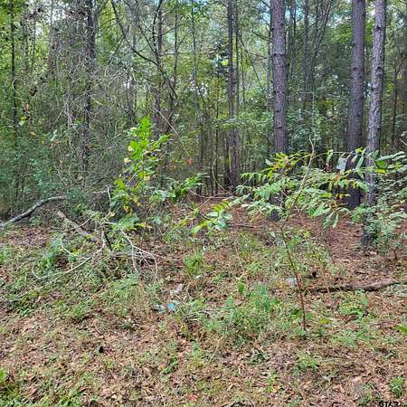 12.5 Acres of Land for Sale in Tyler, Texas