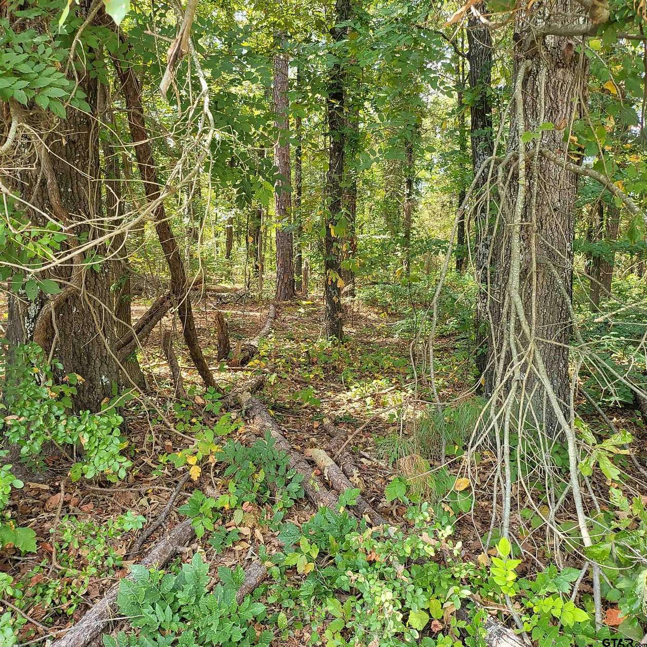 0.93 Acres of Land for Sale in Tyler, Texas