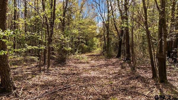 6.2 Acres of Land for Sale in Tyler, Texas