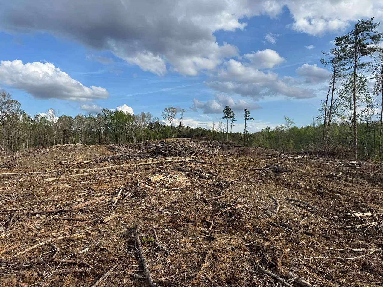 36.8 Acres of Recreational Land for Sale in Winona, Mississippi