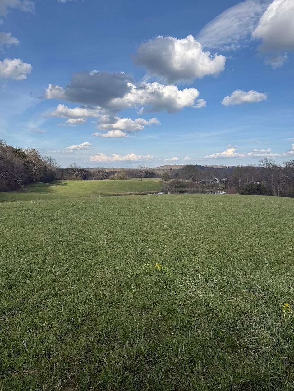 97.3 Acres of Land for Sale in Pikeville, Tennessee