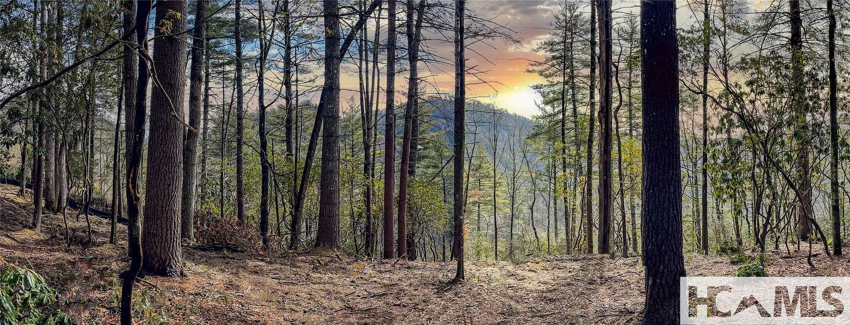 1.2 Acres of Residential Land for Sale in Cashiers, North Carolina