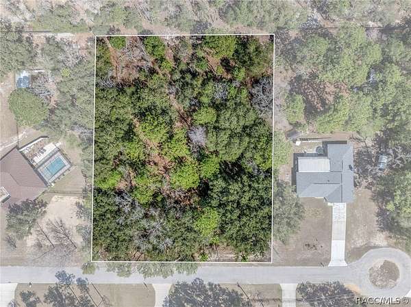 1 Acre of Residential Land for Sale in Beverly Hills, Florida