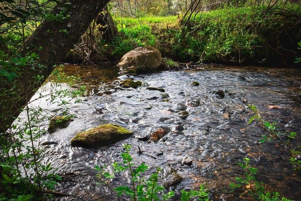 3.78 Acres of Land with Home for Sale in Blairsville, Georgia