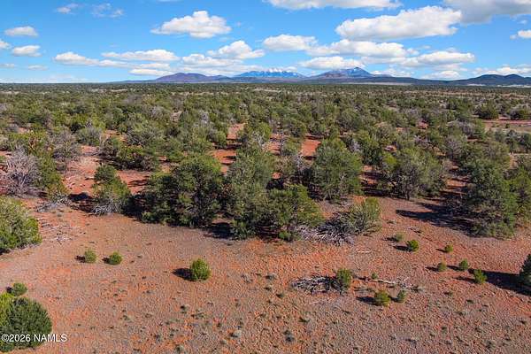 16 Acres of Land for Sale in Williams, Arizona