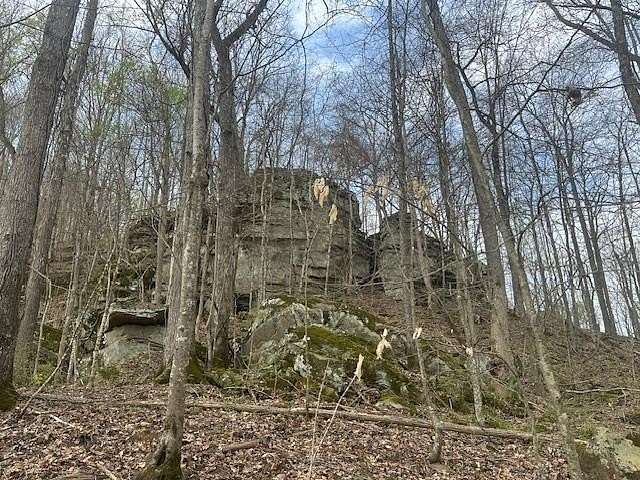 5 Acres of Residential Land for Sale in Wilder, Tennessee