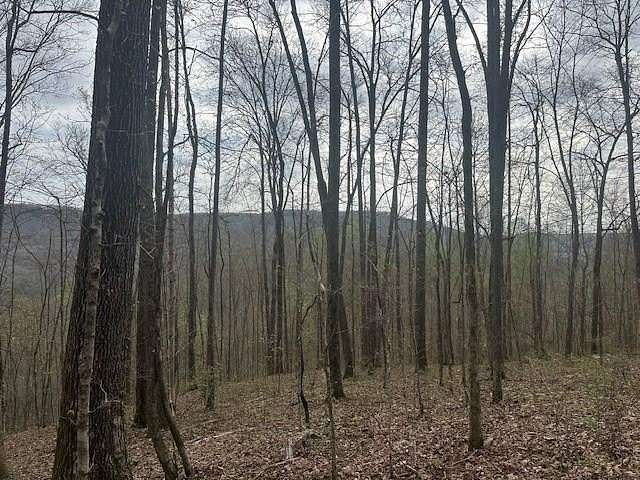 5 Acres of Residential Land for Sale in Wilder, Tennessee