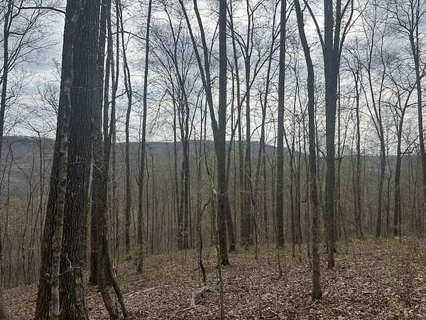 5 Acres of Residential Land for Sale in Wilder, Tennessee