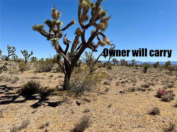 1 Acre of Residential Land for Sale in Dolan Springs, Arizona