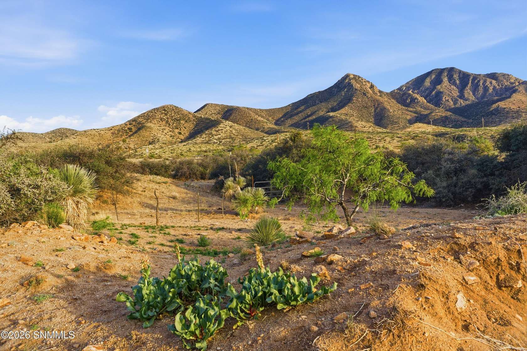 19 Acres of Recreational Land for Sale in Las Cruces, New Mexico