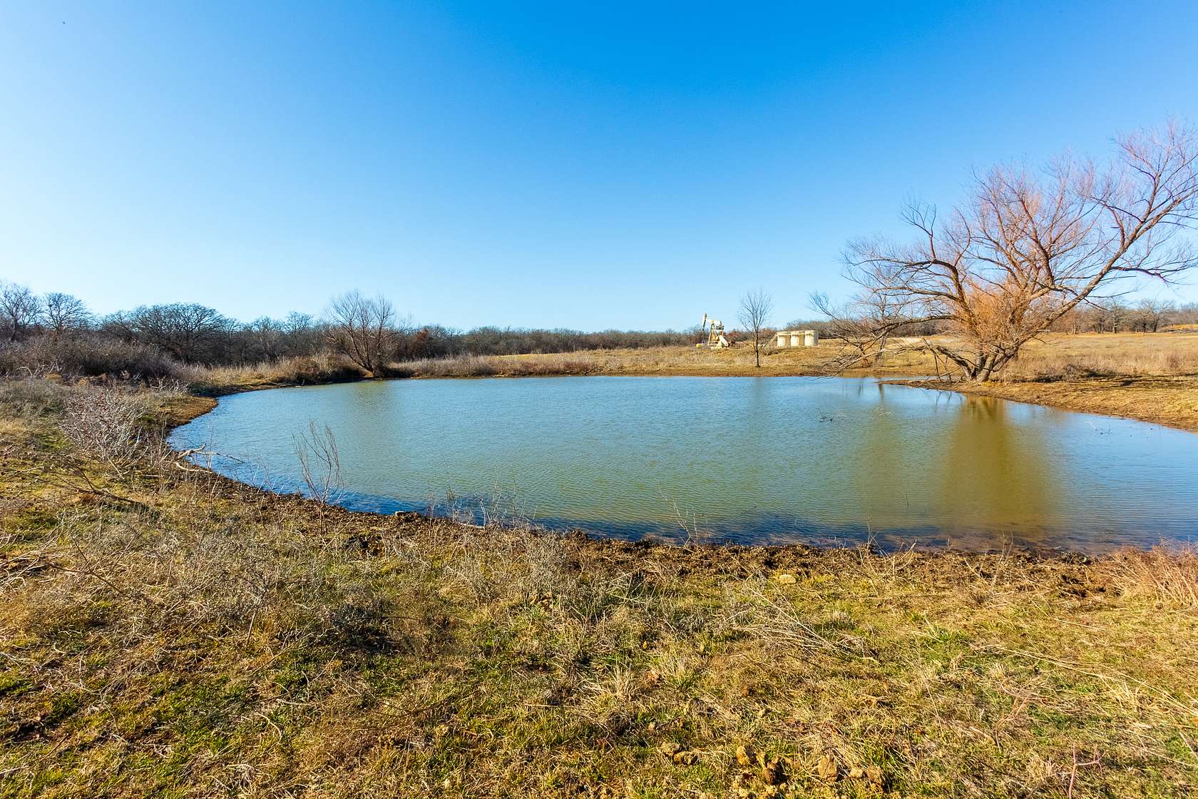 35.5 Acres of Land for Sale in Perrin, Texas