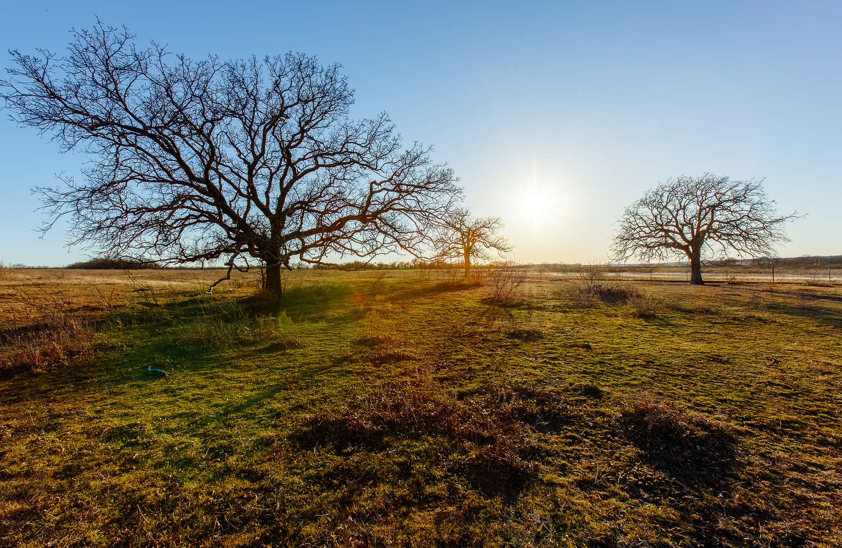 23.3 Acres of Land for Sale in Perrin, Texas