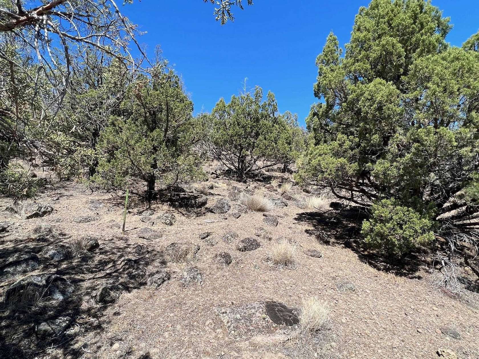 0.24 Acres of Residential Land for Sale in Weed, California