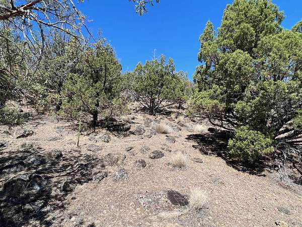 0.24 Acres of Residential Land for Sale in Weed, California