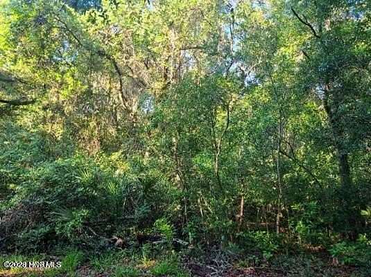0.24 Acres of Residential Land for Sale in Bald Head Island, North Carolina