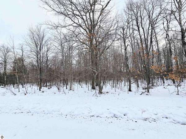 1.26 Acres of Residential Land for Sale in Grayling, Michigan
